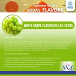 SNA - Fruity, Sweety, and Yogurt Flavors
