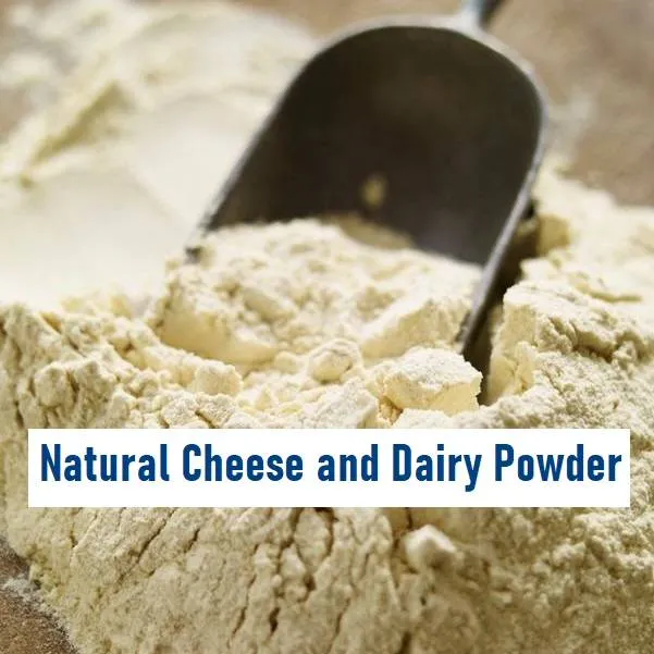Cheese and Dairy powder