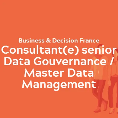 Consultant(e) senior Data Gouvernance / Master Data Management
