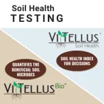 SOIL HEALTH TESTS: VitTellus® Soil Health and the NEW VitTellus Bio℠ test that quantifies beneficial soil microbes