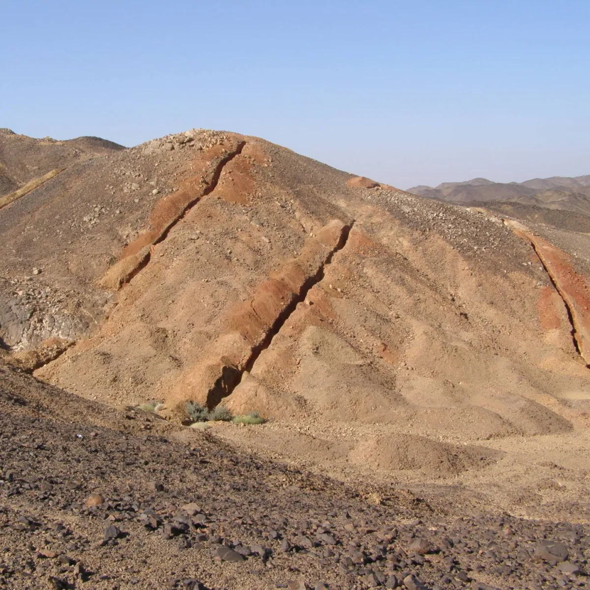 Target & Project Generation