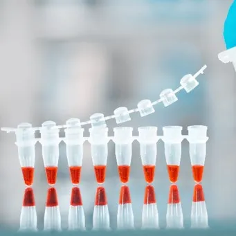 Measurement service with the pEPR spectrometer