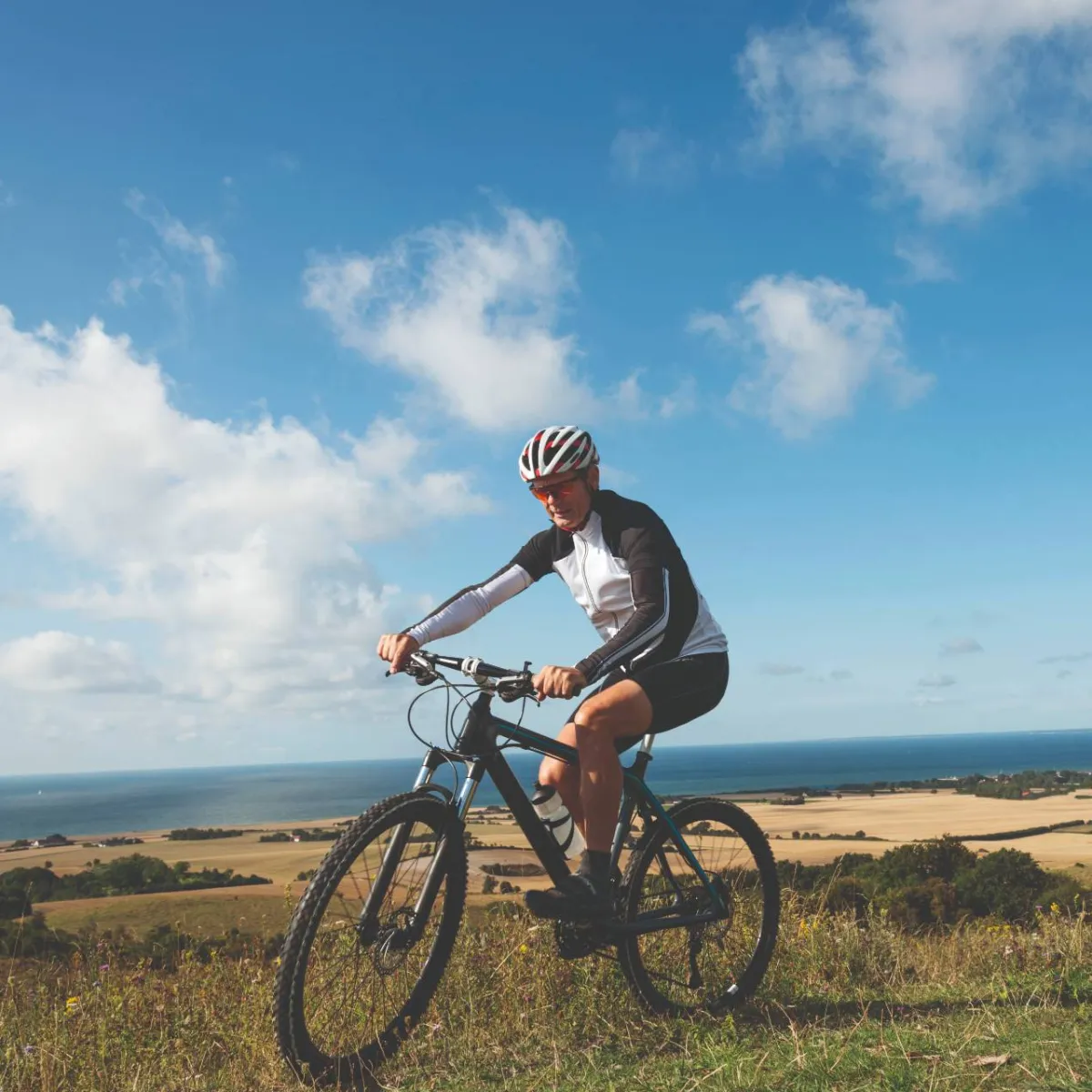 Téléassistance mobile