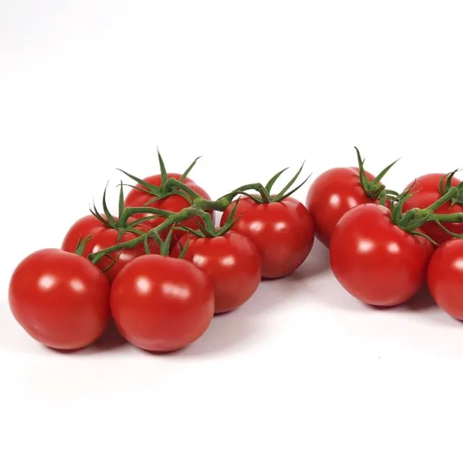TOMATE DAMARESS