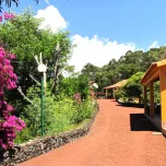 Property with business for sale-Azores