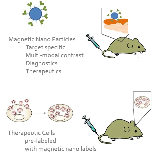 Introduction to particle Electron Paramagnetic Resonance (pEPR) and Pepric pEPR Spectrometer (PPS)
