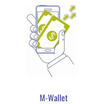Estel's Mobile Money (m-Wallet) Solution