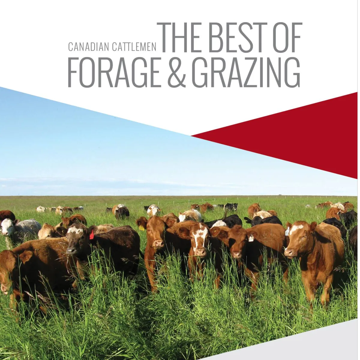 FORAGE & GRAZING | Canadian Cattlemen
