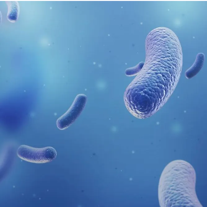 GMP Manufacturing Live Microbial Products