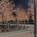 Fußballstadion und Parkgelände | Krasnodar