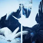 Inside Tumucumaque - a virtual reality installation