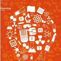 Energy Foresight Programme