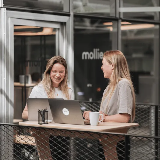 Mollie x Shopware Developer Meetup