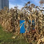 Conservation Ag Plot Tour - July 22nd, 23rd