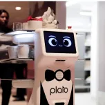 Plato, first serving cobiot