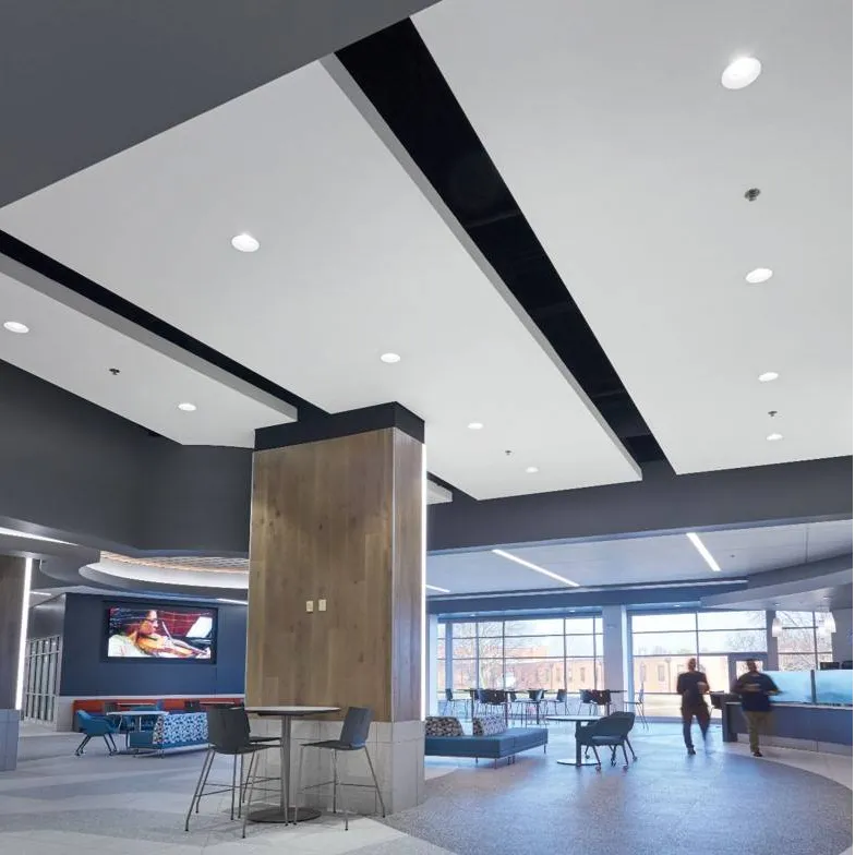 AcoustiBuilt - Seamless Acoustical Ceiling and Wall System