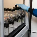 Celanese Development & Feasibility Lab Services