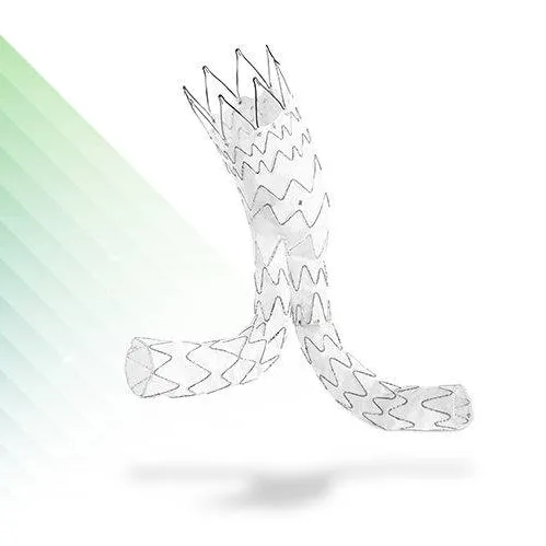 E-tegra Stent Graft System
