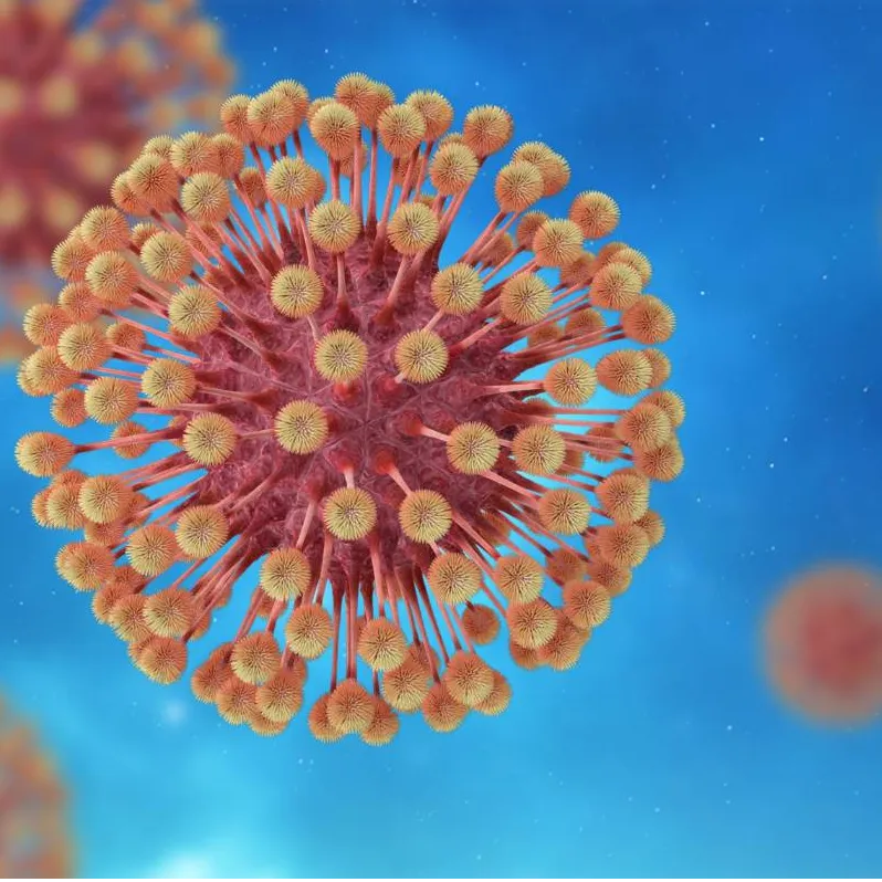 Custom Pharmacology & Toxicology Solutions