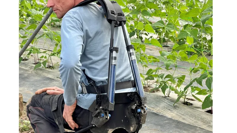 The painful nature of work in market gardening. How can we improve working conditions in market gardening? Robots and cobots, a solution?