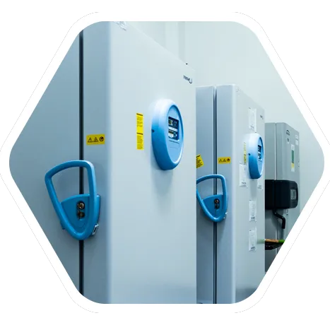 Global GMP Depot Network