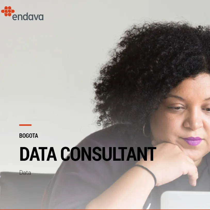 Data Consultant