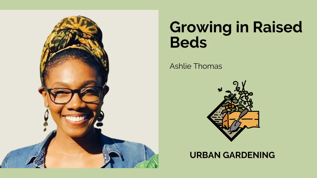 Growing in Raised Beds with Ashlie Thomas