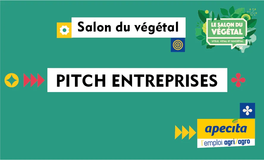 PITCHS ENTREPRISES