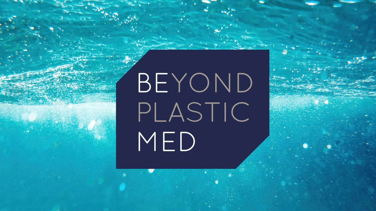 BeMed Community of practice meeting 2024