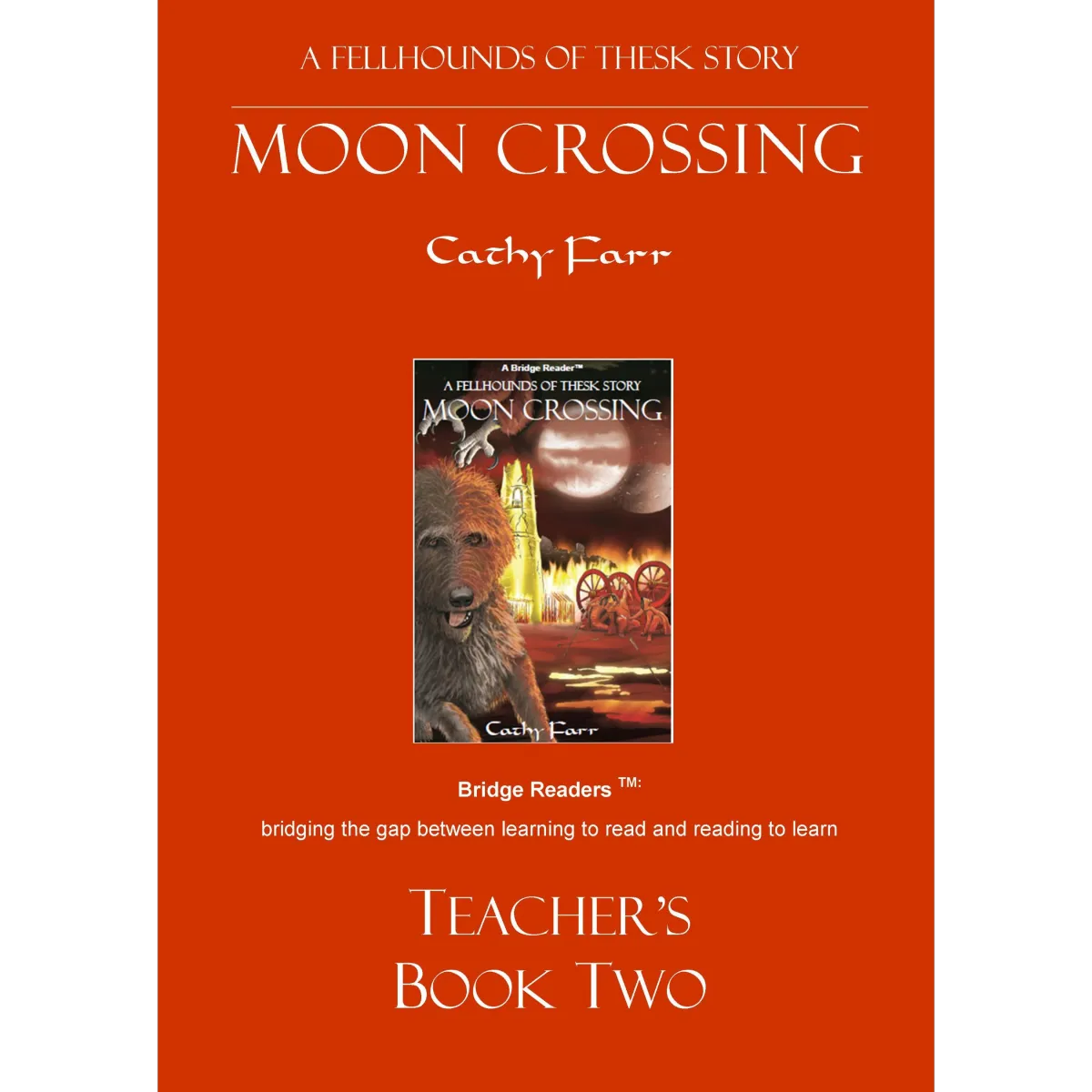 Moon Crossing, Teacher's Book download