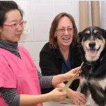 Associate Diploma Programs