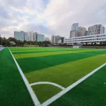 Jejo island, Nam Nyeong High School Ground