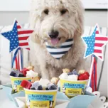 Frozen Yogurt Dog Treat with Banana & Peanut Butter