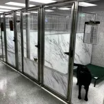 Mason on the Floor Sani-Kennel