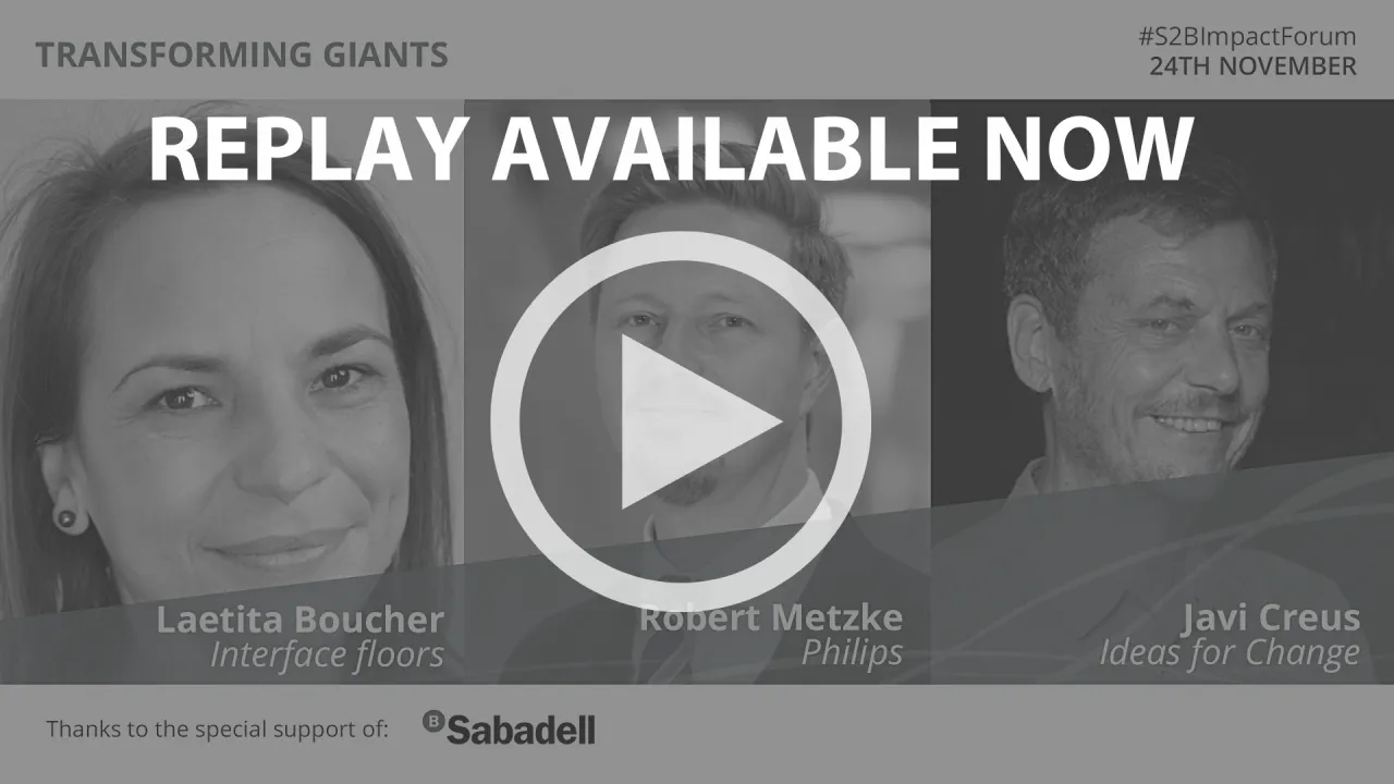 Transforming giants: Regenerating systems by transforming business models