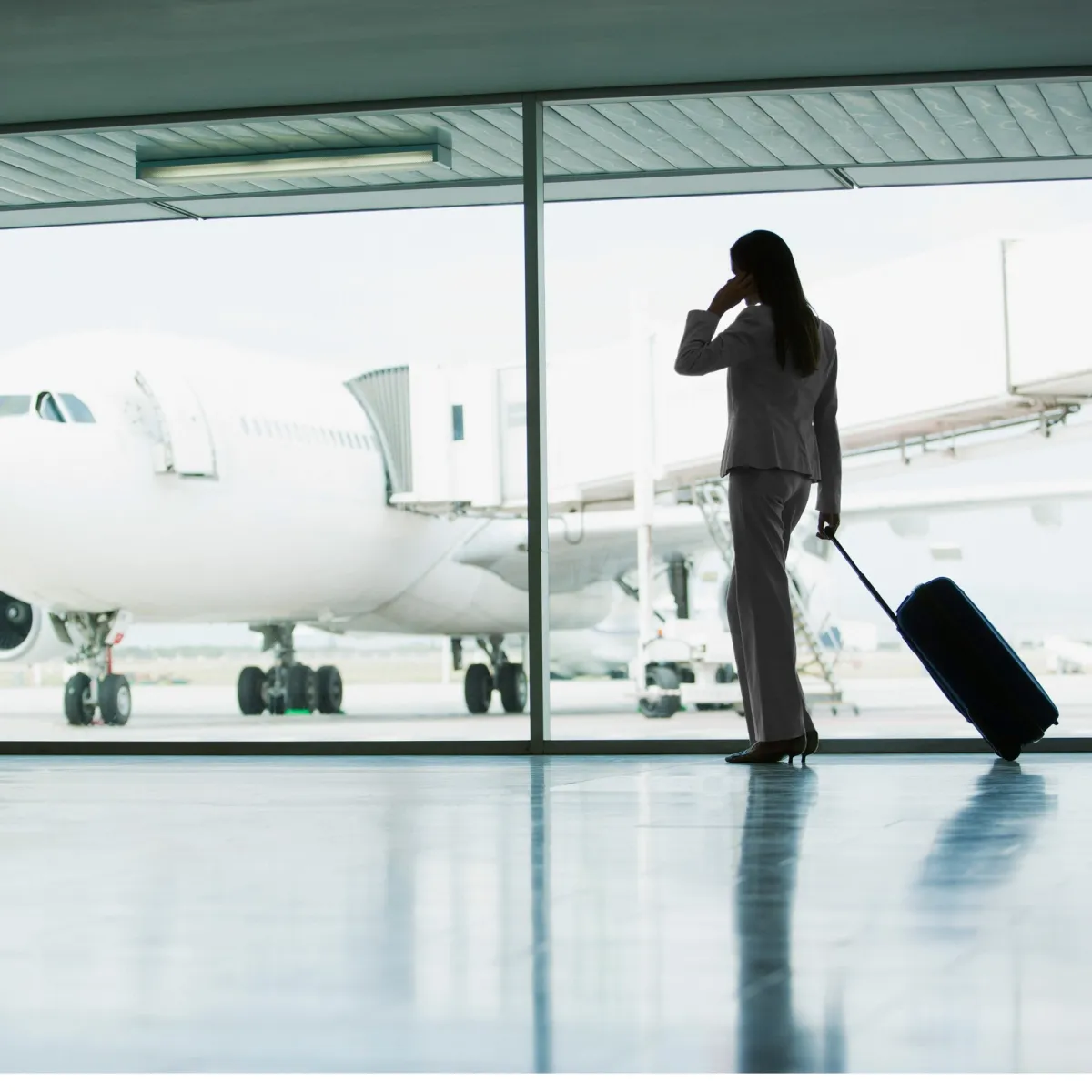 SITA FLEX AS A SERVICE