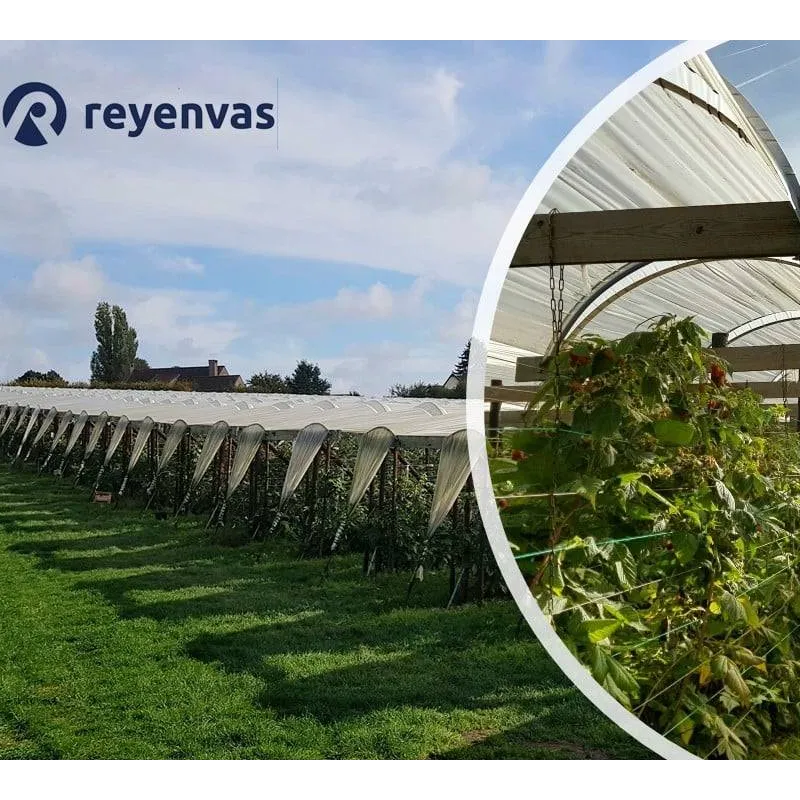 REYTEC - REYSUN - REYTHERMIC