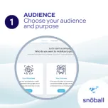 How to start a Snöball