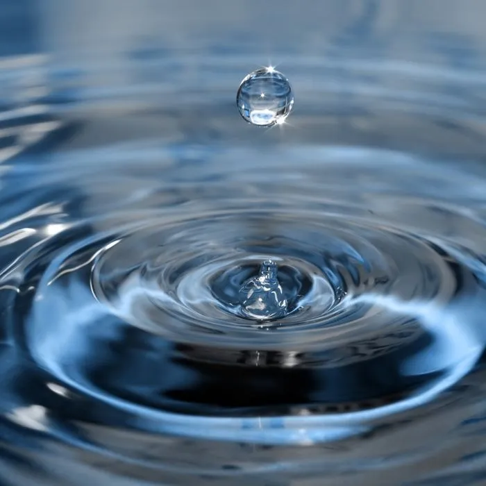 Trust-based Philanthropy in Asia