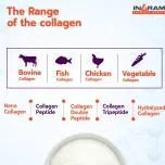 Collagen Peptide