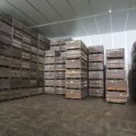 Prestation d'entreposage frigorifique