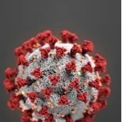 Detect Virus-Specific T-cell Immunity