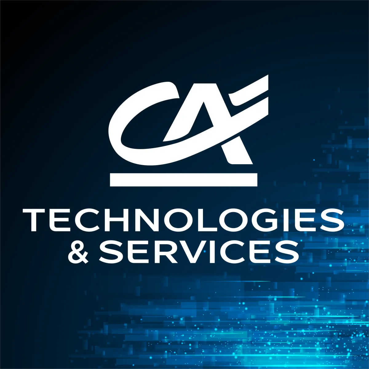 Toutes nos offres d'emploi sont à découvrir sur LinkedIN