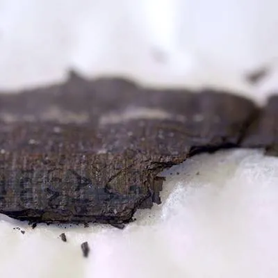 Herculaneum Unwrapped