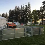 Combi Clamp and Sheep Handling Equipment