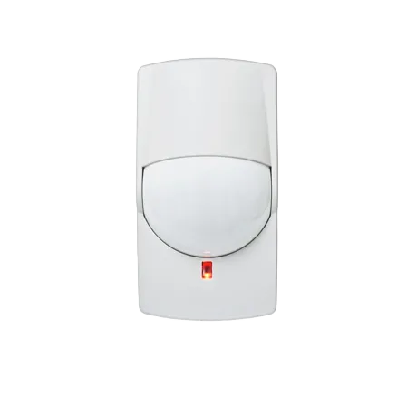 Presence intrusion sensor