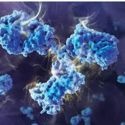 Make a difference in the future of vaccines: connect with USP Biologics