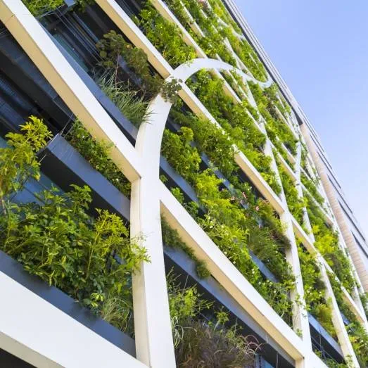 Sustainability for Real Estate