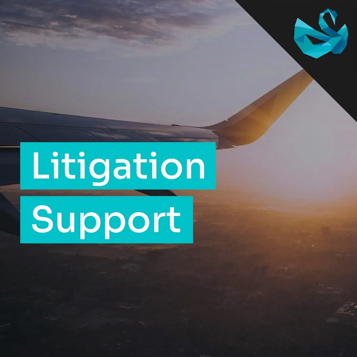 Litigation Support
