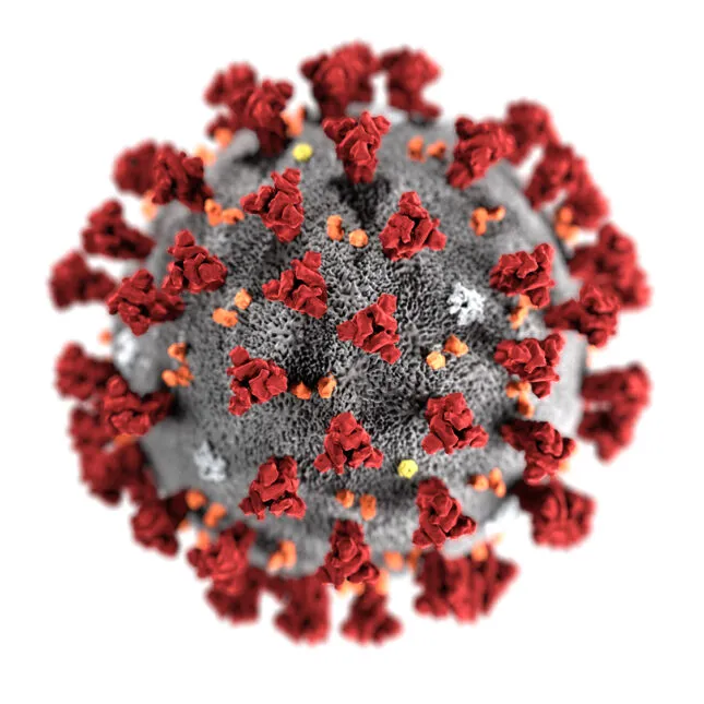 COVID RELATED THERAPEUTICS